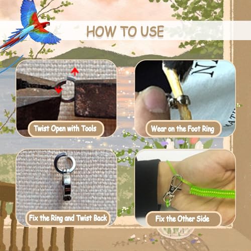 Bird Leash, Anti-Bite Parrot Harness Retractable Bird Flying Rope with 3Pcs Different Sizes of Foot Rings, Elastic String Training Harness Parrot Flight Rope (Blue, 118 Inches) - color: Blue, size: 118 Inches
