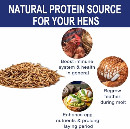 RANZ 8LBS Non-GMO Dried Mealworms for Chickens, High Protein Meal Worms, Premium Chicken Feed, Whole Large Mealworms for Blue Birds, Ducks, Fish - size: 8 Pound (Pack of 1)