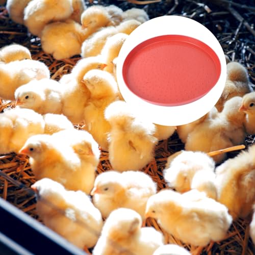 Angoily 2pcs Chick Appetizer Plate Chicken Feeder Plastic Trays Chick Feed Freeze Proof Chicken Waterer Goose Waterer Plastic Hen Feed Tray Fodder Plate Fodder Trays Poultry Feeder Red