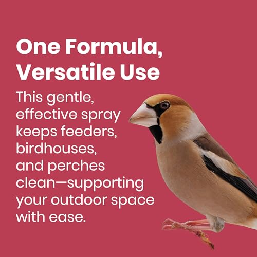Bird Feeder & Bird House Spray to Reduce Buildup Between Cleanings, 32oz | Protectant, Extend Time Between Cleanings, Long Lasting Protection, Safe for All Birds, For Use After Cleaning, Non-Toxic - size: 32 Fl Oz (Pack of 1)