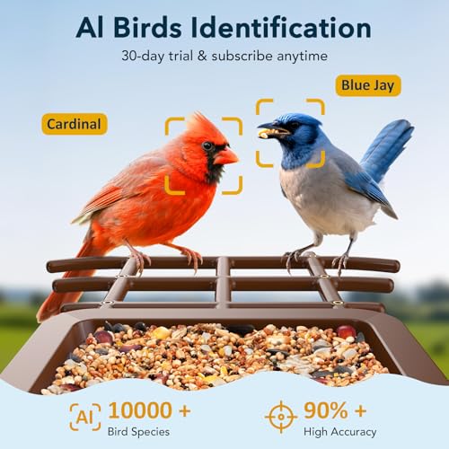PeckCam® Bird Feeder with Camera Solar Powered 2K Live Video Auto Capture | AI Bird Species Identification, Instant App Alert, IP65 Waterproof, Easy Setup, Backyard Bird-Watching, Gift for Bird Lovers - color: Light Brown
