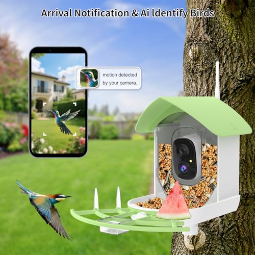 Bird Feeder with Camera,Smart AI Birds Breed Recognition,Birds Motion Detection with Real-Time Notice,Auto Capture Bird Watching WiFi Camera,Solar-Powered Outdoor Charging Bird House,Ideal Gifts,Green | Auto records FHD videos of birds in your backyard,In