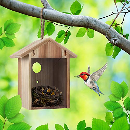 Window Bird House with Strong Suction Cup, See Through View Design | Upgraded wooden outdoor window nesting box, watch bluebird finch chickadee indoors, great viewing gift for kids