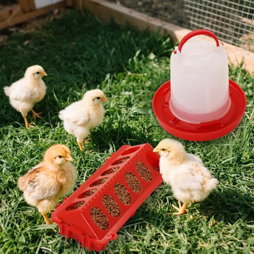 Chick Feeder and Waterer Set,Automatic 1L Hanging Chicken Waterer and Plastic Flip Top Chick Feeder for Baby Chicks,Ducks,and Quail,Brooder Starter Kit