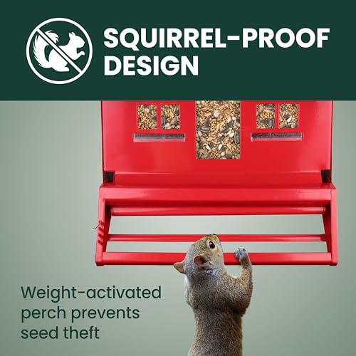 Perky-Pet Squirrel-Be-Gone II Country Style Bird Feeder, 8 lb Seed Capacity | Weight-Activated, Squirrel Proof, Metal Construction, Rust Resistant, Locking Lid, Removable Roof, Adjustable Settings, 338