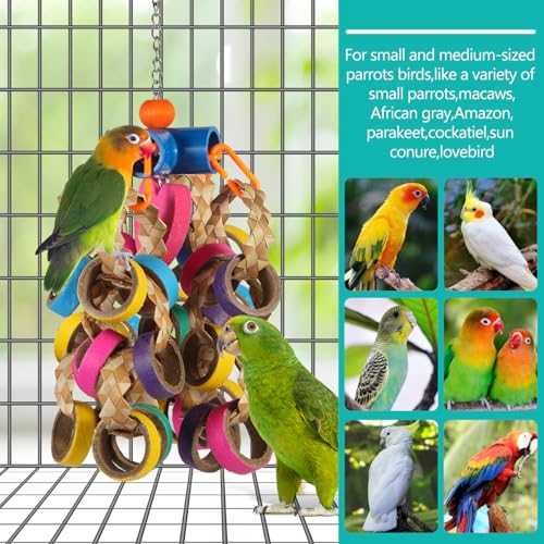 lovyoCoCo Bird Toys Conure Toys,Bird Parrot Foraging Shredder 24 Pcs Colorful Bagel Chewy Rings for Small Parrots Parakeets Conures Cockatiels Love Bird Cage Accessies (B) - color: B