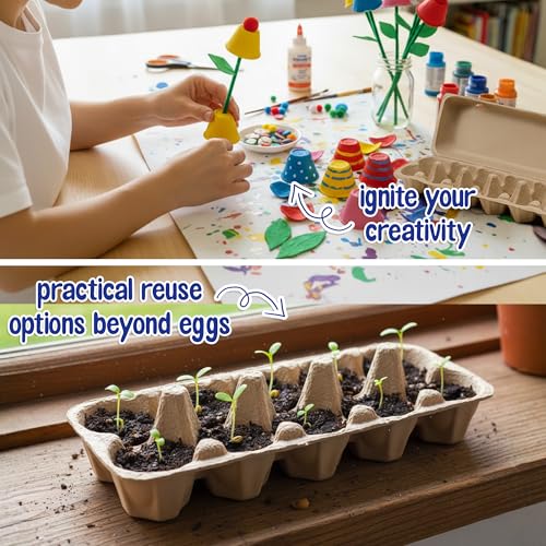 MT Products Natural Flat Top Egg Cartons 12 Count Pulp 20 Pack Made in USA | Flat top pulp cartons hold 1 dozen eggs. Sturdy, biodegradable, Made in USA. Ideal for farms and backyard hens.