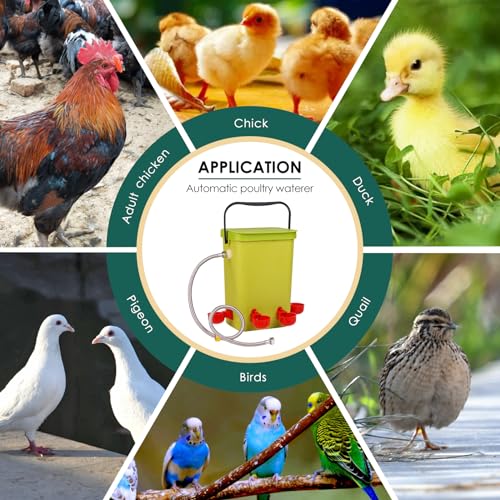 Automatic Chicken Waterer with Float Valve for Poultry | 3.2 Gallon Hanging Poultry Waterer, 6 Water Cups, Large Duck Quail Turkey Goose Chicken Coop Water Dispenser