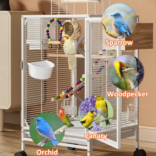 4Pcs Bird Cage Feeder Cups, Hanging Plastic Food and Water Bowls with Metal Hooks for Small Birds, Parrots, Parakeets, Pigeons, Cage Accessories and Feeding Supplies