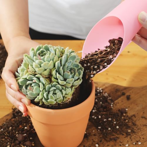3 Pcs Bonsai Soil Scoops Plastic Garden Shovels, Colorful | Mini Potting Scoops, For Plant Succulent, Lightweight and Stable Design, For Easy Gardening and Transplanting Tasks