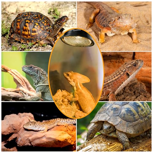 REPTI ZOO G9 Reptile Heat Lamp Bulb & Reptile Light Fixture with Safety Mesh Kit, 50W UVA Basking Light Fixture for Bearded Dragon Gecko Lizard Turtle Snake Chicken, Low Profile Warm White Heat Bulb