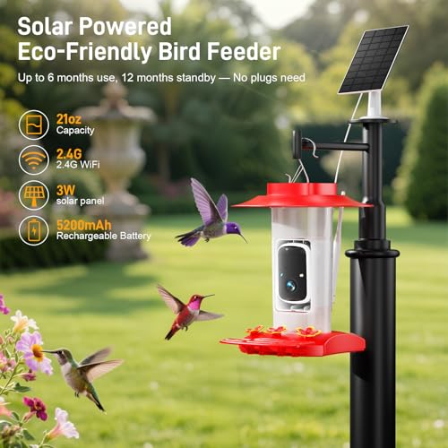 Hummingbird Feeder with Camera Outdoor, Solar Powered Hanging Bird Feeder | Ant Moat & Bee-Proof, AI Bird ID, HD 2K, Instant App Alerts, Auto Capture, Garden Gift for Hummingbird Lover & Mom Dad, 21oz - color: Red