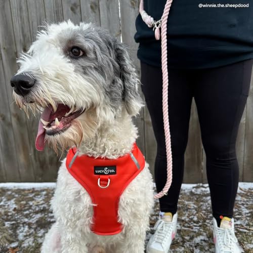 Rosewater Hands-Free Rope Leash - color: Rosewater Pink Hands-Free Dog Leash