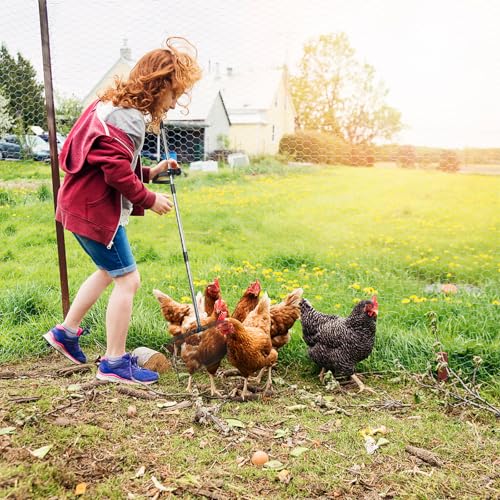 ULTECHNOVO Heavy Duty Long Handle Design in Poultry Manure Scooper Stainless Steel Wide Scoop Surface Efficient Cleaning and Poultry Operations and Chicken Coop