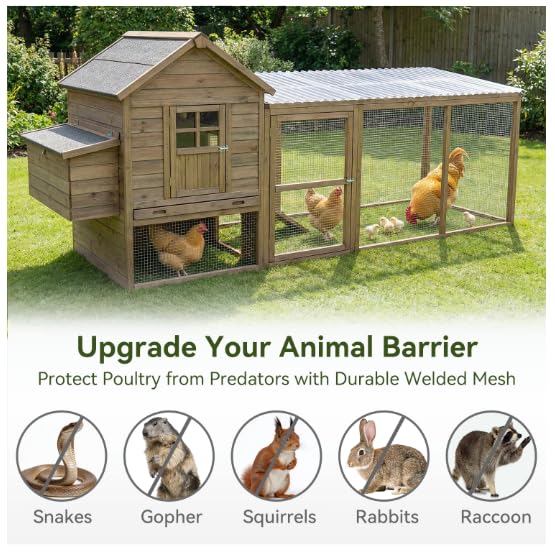 Amagabeli Ture 19 Gauge Hardware Cloth Chicken Wire 1/2 inch 16in x 6ft Double Galvanized Extra Thick Heavy Duty Welded Wire for Chicken Coop Animal Cage Garden Fence Pet Enclosure Window Vent - size: 1/2" 16" x 6'