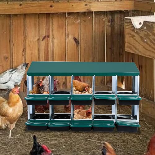 Chicken Nesting Box，Green 10 Hole Chicken Laying Box, Tray for Easy Egg Collection, Large Holes for Ventilation, Suitable for Chickens & Ducks - color: Green, size: 10 Holes