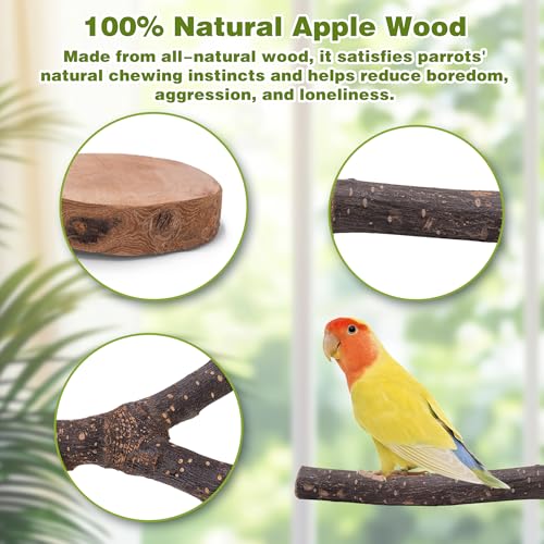 8PCS Bird Perches Set Natural Apple Wood Bird Cage Accessories Wooden Parrot Stand Hardwood Branches for Parakeets, Budgies, Cockatiels Small Bird Habitat Gym, Climbing Stand & Safe Chew Toys