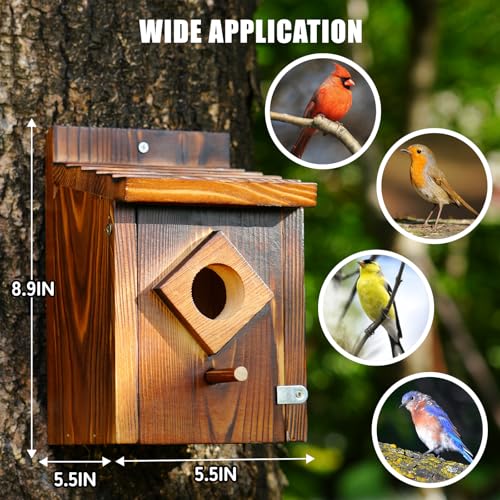 Waterproof Wooden Bluebird House, Weather-Treated Bird Box for Outdoors | Carbonized Wood, 1.5 Inch Entrance Diameter, No Assembly Required Design, Easy to Clean, for Swallows, Finches, Chickadee - color: dark brown