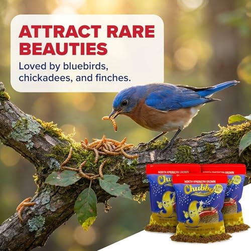 Chubby North American Grown Dried Mealworms | 7.5 lbs | Non-GMO High-Protein Treats for Chickens, Ducks & Wild Birds – Sustainable Chicken Feed - size: 7.5 Pound (Pack of 3)
