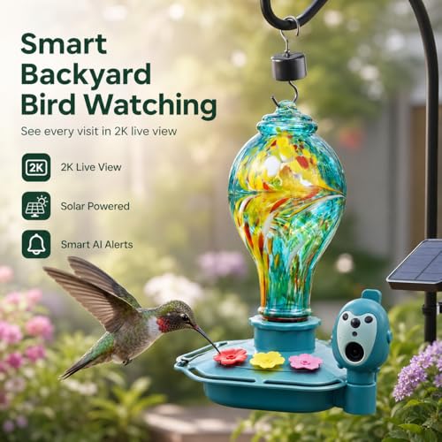 Hummingbird Feeder with Camera, Solar Powered 2K Smart Bird Feeder | AI Bird Recognition, Solar Powered, 2K Camera, Hand-Blown Glass Design, Leak-Proof, Bee Resistant, Easy to Clean