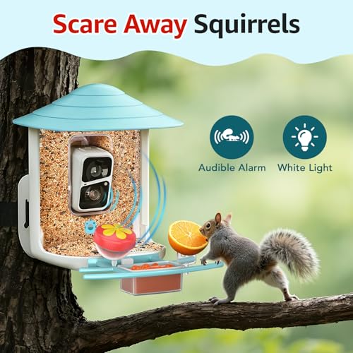 birdsnap® TUC Bird Feeder with Camera Solar Powered 2K Video with 32GB Card | AI Bird Species Identification, Squirrel-Proof, IP65 Waterproof, Outdoor Wireless, 2.4G WiFi, Gift for Mom Dad Bird Lovers - color: Light Blue
