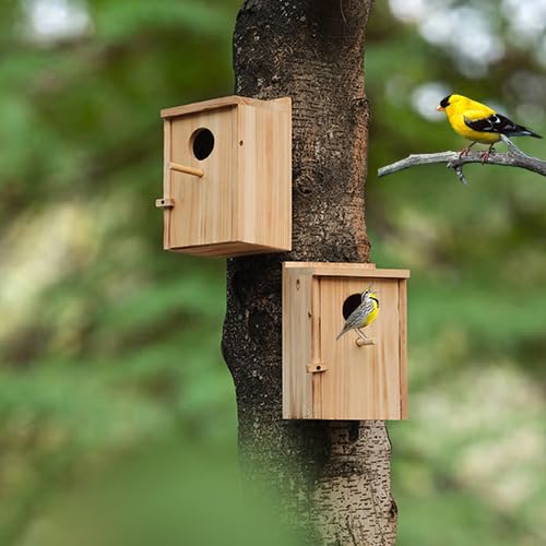 LEOSYY2 Pack Bird Houses for Outside with Clean-Out Door,Bird House Outdoor | Solid wood outdoor nesting boxes for small wild birds, backyard birdwatching, tree or fence mounting