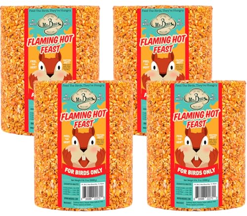 Mr. Bird Flaming Hot Feast Spicy Bird Seed Cylinder, 4-Pack, 4 lbs 3 oz | Premium Blend of Mealworms, Peanuts & Hot Pepper | Squirrel Repellent | Handcrafted in Texas - size: 4.19 Pound (Pack of 4)