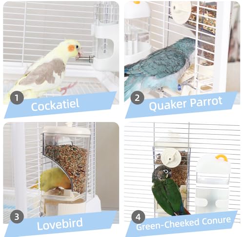 No-Mess Bird Feeder & Waterer Set for Cage, 300ml Auto Feeder with Seed Hull Catcher & 400ml Stainless Steel No-Backflow Drinker, for Cockatiels Conures Parakeets