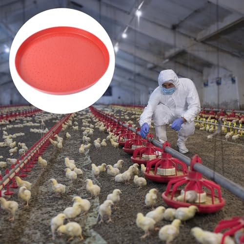 Angoily 2pcs Chick Appetizer Plate Chicken Feeder Plastic Trays Chick Feed Freeze Proof Chicken Waterer Goose Waterer Plastic Hen Feed Tray Fodder Plate Fodder Trays Poultry Feeder Red