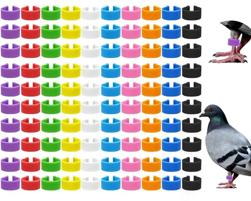 Keedolla 200 Pcs 8mm Bird Quail Leg Rings with 10 Color Bird Pigeons Identification Leg Bands Clip on Colorful Poultry Ankle Tags for Bantam Quail Dove Lovebirds Finch Small Poultry - size: 8mm - 200pcs