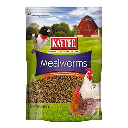 Kaytee Wild Bird Food Mealworms For Bluebirds, Wrens, Robins, Chickadees, Woodpeckers, Cardinals & Chickens, 2 Pound - size: 2 Pound (Pack of 1)