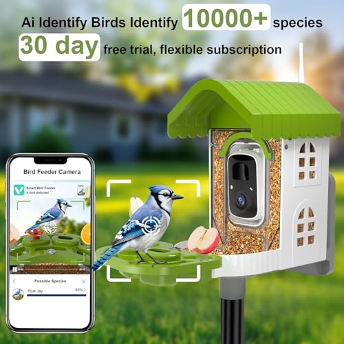 Smart Bird Feeder with Camera Solar Powered, AI Species Identification, 2K HD Video, Instant Arrival Alerts, Weatherproof Design for Outdoor, Best Gift for Bird Lovers(Green) - color: Green