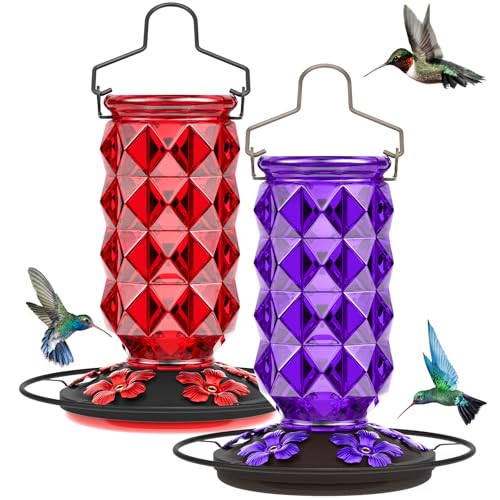 2 Pack Glass Hummingbird Feeders for Outdoors, 25 Ounces Wild Bird Nectar Feeder with Perch & 5 Flower Feeding Ports Leak Proof Hanging for Garden Backyard Decor, Gifts for Women Mom, Red & Purple - color: 2 Pack Diamond Sparkling Red & Purple