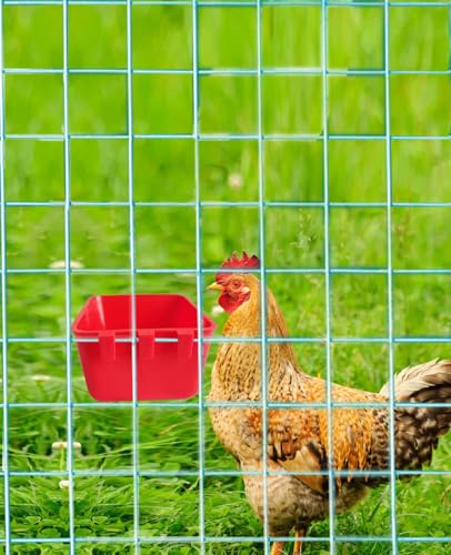 Pack of 20 Cage Cups Birds Feeders Seed Bowl Chicken Feeding Watering Dish Rabbit Water Food Hanging Wire Cages Box 16 oz Coop Cups for Pet Parrot Parakeet Game Fowl Poultry Pigeon - color: Red Square 20 packs 16oz