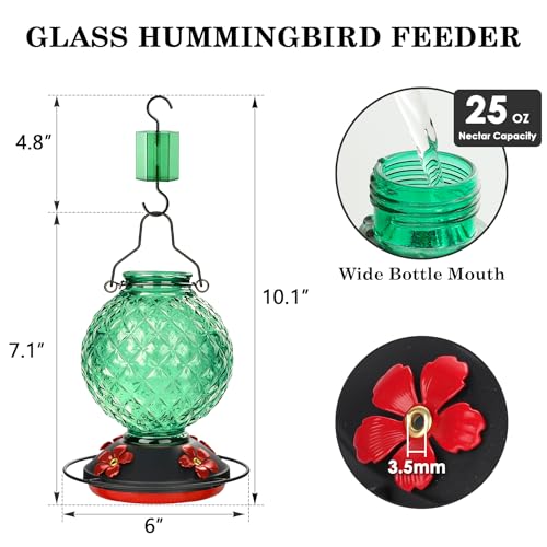 25 OZ Glass Hummingbird Feeder for Outdoors, Leak Proof Hummingbird Feeder with Ant Moat, 4 Bee Resistant Feeding Ports, Easy Clean Wide Mouth Design, Hanging Nectar Feeder, Green - color: Green - 25oz