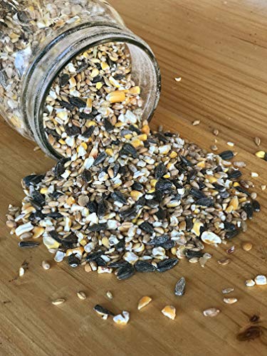 Ernst Grain & Livestock Bird and Wildlife Feed – Perfect for Birds, Ducks, Squirrels, Turkeys, Rabbits, Geese, and Deer – Non-GMO Wild Animal & Bird Feed for Outside Feeders (10 Pounds) - size: 10 Pound (Pack of 1)