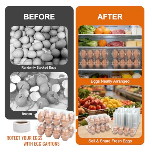100 Pack Plastic Egg Cartons Cheap Bulk 8 Count, Clear Egg Trays 2x4 Grids | Comes with Date Tracking Stickers Egg Care Instructions, Reusable Egg Holder for Refrigerator, Family and Chicken Farm