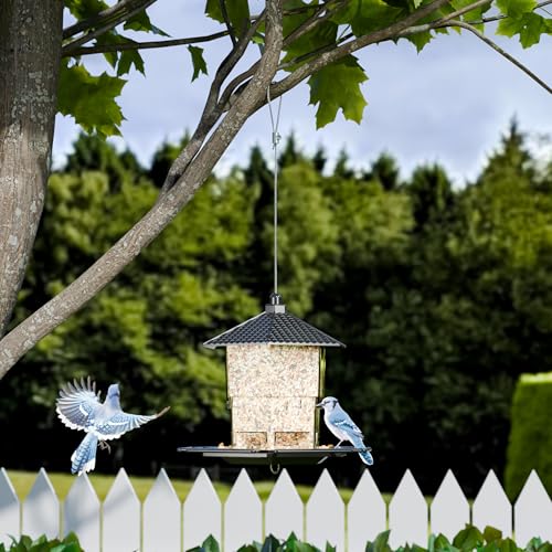 Hopper Bird Feeders for Outdoors Hanging,Black 455