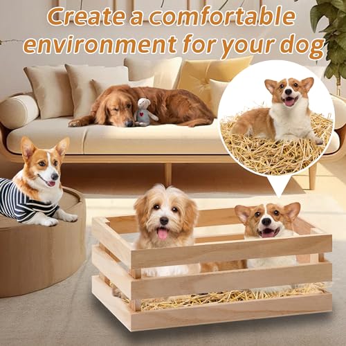 WNJ Natural Wheat Straw - 1 LB Dry Straw, Soft 100% Natural Straw Bale for Animal Bedding, Garden Mulch, Compost & Stray Cats Dogs Poultry, and Grass Cover