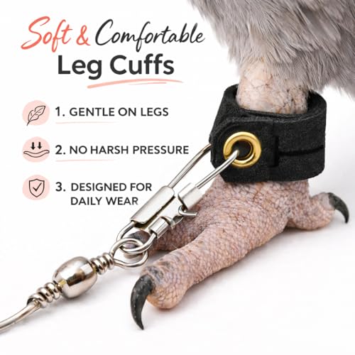 Parrot Bird Harness Leash Anti-bite Outdoor Flying Training Rope with 5pcs Different Sizes of Soft Foot Loops and Training Whistle(Upgraded Version of Ankle Ring)
