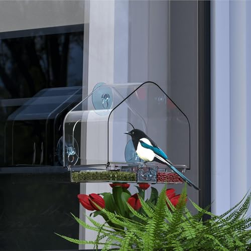 Clear Bird Feeders for Window Viewing,Acrylic Window Bird Feeders with Strong Suction Cups for Cats,Kid and Birds Lovers Gifts,Large Window Mount Birdfeeder,Birds House for Outdoors,Balcony