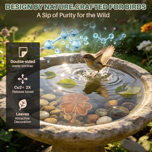 3Pcs LuckyClover Bird Bath Copper Purification Disk | 99.99% Pure Copper Bird Bath Discs 0.6mm Reinforced,Natural Physical Cleaner for Outdoor Birdbaths, Fountains & Bowls - size: 3Pcs Lucky Clover