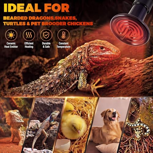 6 Pack 150W Ceramic Heat Emitter, No Light Reptile Heat Lamp Bulb for Bearded Dragon Tank, Chicken Brooder and Coop, E26 Ceramic Heater Bulb for Large Terrarium - style: 150W
