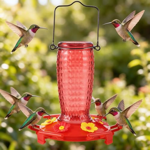 Glass Hummingbird Feeder, Hanging Type Glass Bird Feeder, Flower Bird Feeder disassemble 6 Bee-Proof Feeding Ports, 360° Perch, Leak-Proof 2026 New