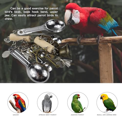 Kenkont Metal Spoon Bell Parrot Toy, Hanging chew Toy | Stainless steel spoon and bell, crisp sound, durable, relieve boredom, perfect cage decoration