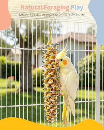 Pawfly Millet Spray Holder, Millet Holder for Bird Cage, Stainless Steel Bird Treat Holder, Bird Cage Food Holder for Parrots, Parakeet Foraging Feeder for Fruits, Veggies & Treats