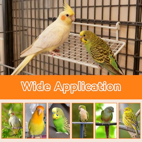 4 Pack Stainless Steel Bird Standing Platform with Cleaning Brush Set, Bird Perches for Cage, Cage Accessories for Budgies, Cockatiels, Lovebirds, Green Cheeks, Small to Medium Birds