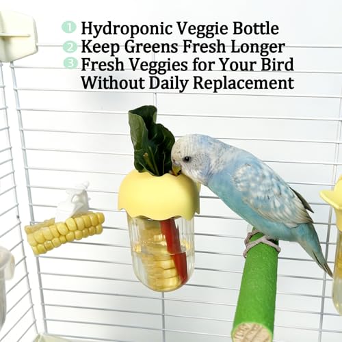 Automatic Bird Cage Feeder No Mess Bird Feeding Station Parrot Vegetable Holder Fruit Clips for Parakeet Cockatoo Canary Lovebirds Budgie (Blue) - color: Blue