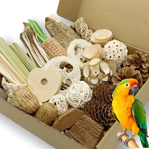 40PCS Natural Foraging & Chew Parrot Toys, Shredding Box for Birds | Natural Bird Toy Set for Parakeets, Cockatiels, Conures & Lovebirds, Helps Reduce Stress & Cage Boredom - size: Large