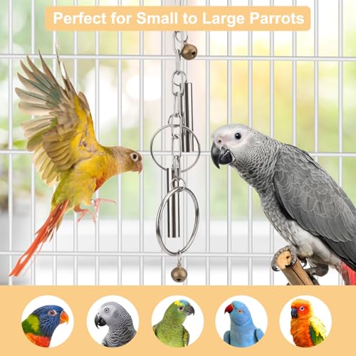 Hypeety Stainless Steel Bird Bell Toys Heavy Duty Hanging Bell Toy for Cage | Rustproof, durable, safe for metal cage, easy-hanging, with 2 rings, for cockatoos/macaws/african grey/large parrots and bird - color: Bells+Rings